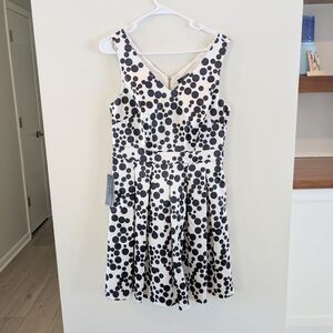 The Limited Black And White Polka Dot Lined Cocktail Dress Size 6